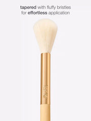 glow wardrobe highlighting brush